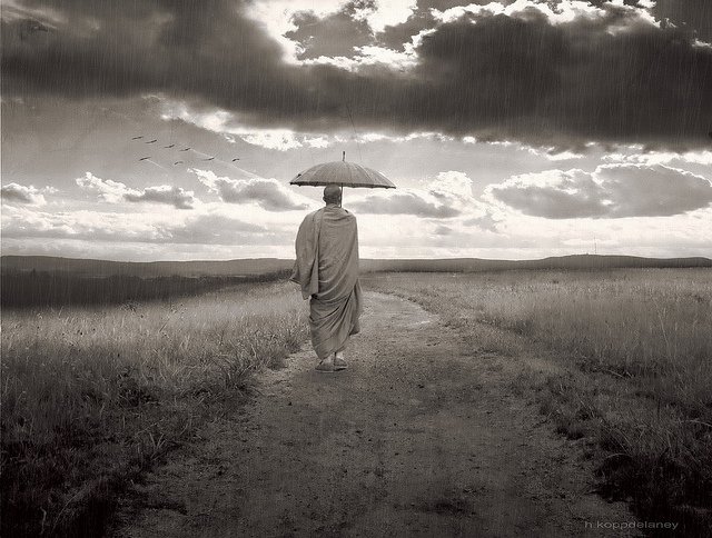 zen-monk-walk-rain-umbrella